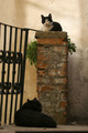 Romeo i Julija