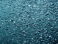 Bubbles