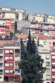 Urban jungle