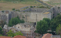 Pogled