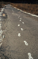 moje stope,kin…