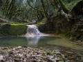 Natura Histrica