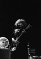 Melvins