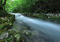 flow