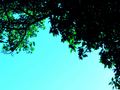 Blue sky