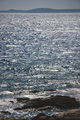Kornati s Murt…