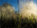 Clouds on Gras&hellip;