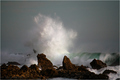 Emerald Storm &hellip;