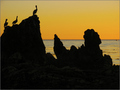 Pelicans and S&hellip;