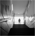 Raslojenost Dr…