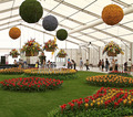 Floraart 2012