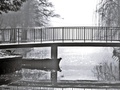 Maksimir