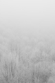 soundless