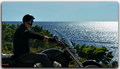 Pogled u ljeto…