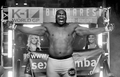 Bob Sapp