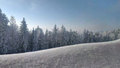 Pogled kroz pr…