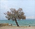panorama (uz j…