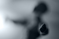 Bodyland 04