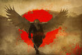 Sova...