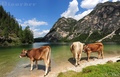 Lago di Braies