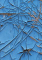 old blue